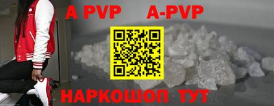 эйфоретик Кингисепп