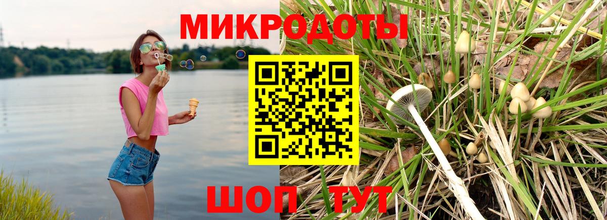 Кандалакша  Псилоцибиновые грибы Psilocybine cubensis  купить наркотик  Вход с VPN 